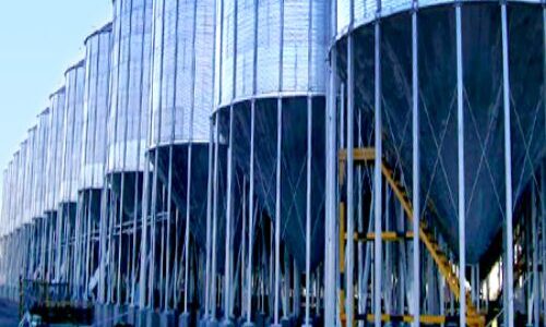Usuario 2025 Cype 3D – Proyecto de Silos para industria agropecuaria